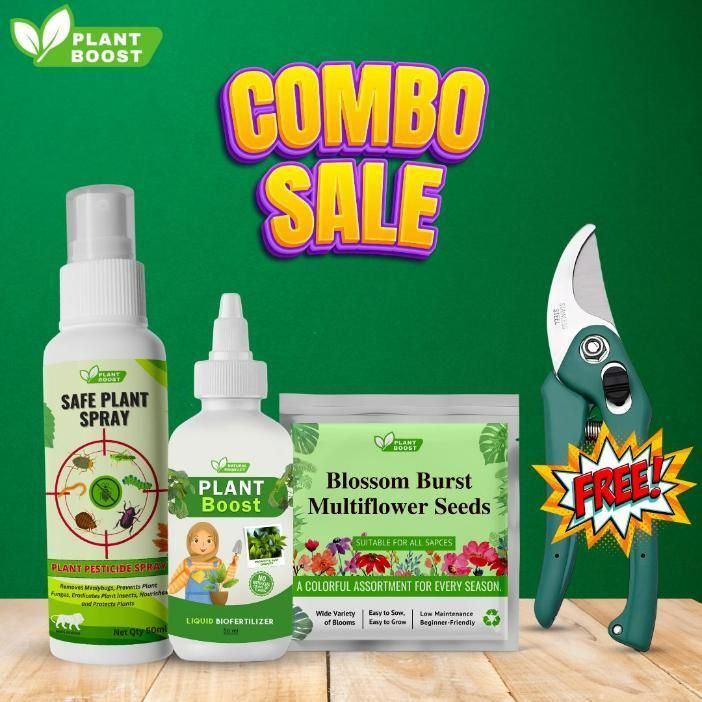 As a gardening expert, I recommend our Plant Care Combo Pack of 3 with 1 Gardening Scissor. This pack includes essential tools for maintaining healthy plants: a spray bottle for watering, a soft brush for cleaning, and a gardening scissor for trimming. With this combo pack, your plants will thrive.