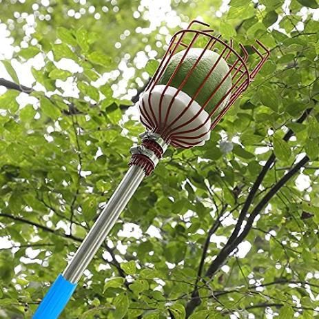 This professional-grade Fruit Picker with Basket features an extendable pole design that reaches high branches with minimal effort. The cushioned collection basket prevents bruising while harvesting delicate fruits, and its lightweight yet sturdy construction ensures season after season reliability. Engineered with a precise picking mechanism that cleanly separates fruit from stems, this tool maximizes yield while preserving tree health—an indispensable investment for serious gardeners and orchard managers.