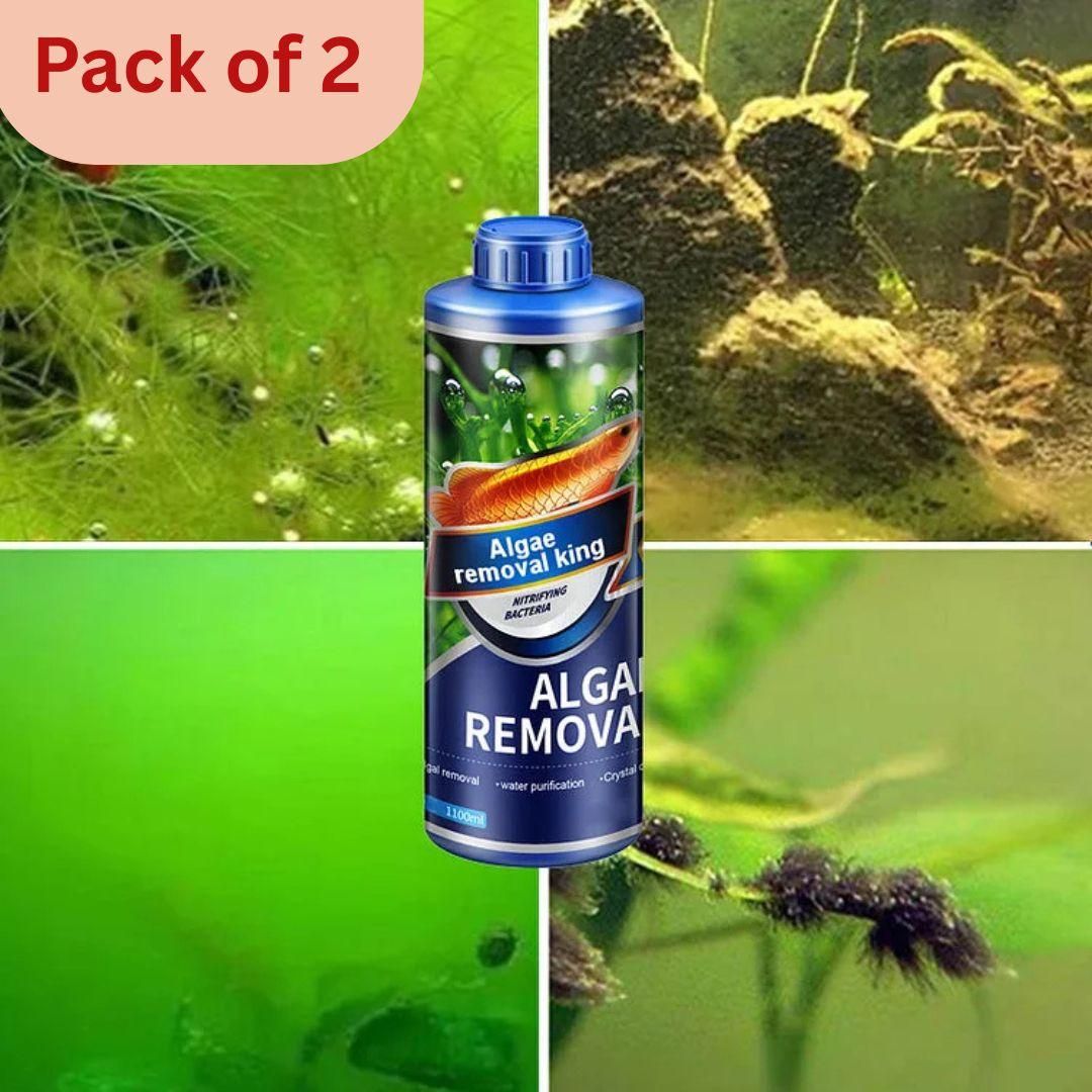 This Algae Remover Pack of 2 is designed to effectively eliminate green algae and moss from fish tanks and ponds. Its powerful algaecide formula helps maintain clear water, enhancing the aquatic environment for fish and plants. Suitable for both freshwater and ornamental ponds, it controls algae growth efficiently, promoting healthier water conditions and improved visibility. Ideal for aquarists seeking a reliable solution to keep their aquatic habitats clean and balanced.