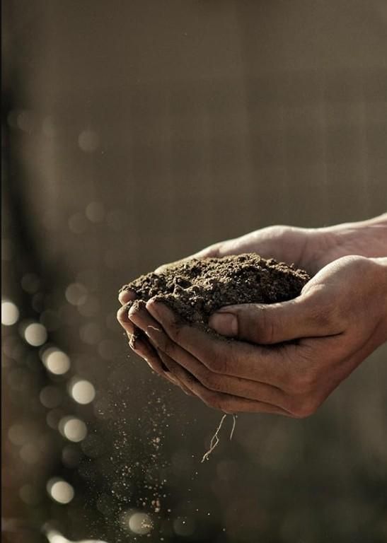 Premium organic vermicompost produced through controlled earthworm digestion processes, yielding a balanced soil amendment rich in humic acids and plant-available nutrients. This 500gm formulation contains essential macro and micronutrients in optimal ratios, enhancing soil microbial activity and improving cation exchange capacity. Supports sustainable agricultural practices while promoting robust root development and enhanced crop yields.