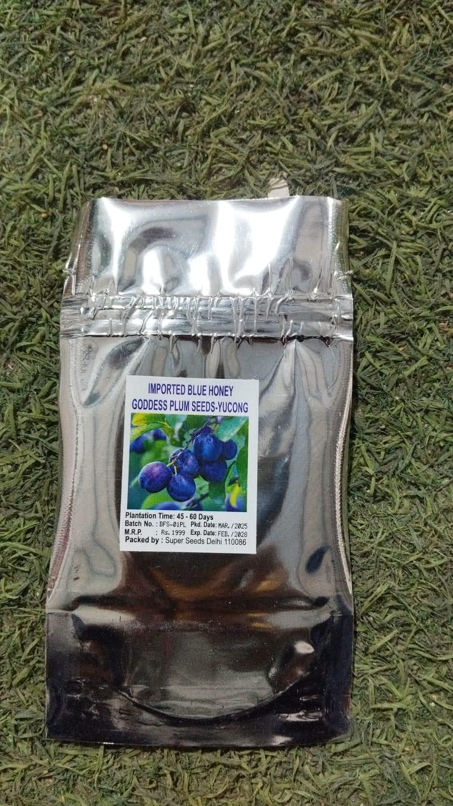 Blue Honey Goddess Plum Seeds provide an excellent foundation for cultivating a distinctive plum variety known for its vibrant blue-honeyed fruit and rich flavor profile. These seeds are suited for experienced growers aiming to develop robust trees that produce high-quality plums ideal for fresh consumption and gourmet applications. With proper care and cultivation, these seeds can yield a rewarding harvest of unique, flavorful fruit.