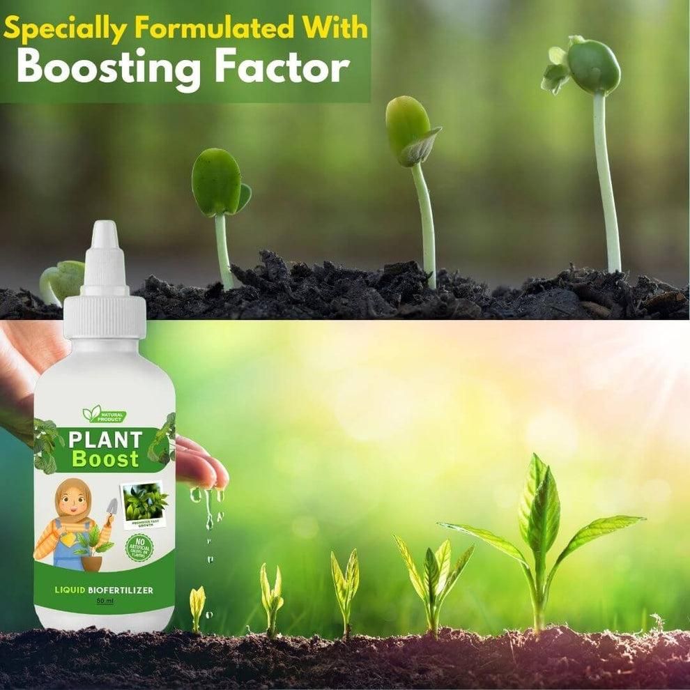 As a gardening expert, I recommend our Plant Care Combo Pack of 3 with 1 Gardening Scissor. This pack includes essential tools for maintaining healthy plants: a spray bottle for watering, a soft brush for cleaning, and a gardening scissor for trimming. With this combo pack, your plants will thrive.