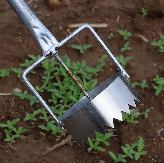 The Greenhouse Film Punch is a specialized tool engineered for creating precise holes in greenhouse films. Its robust design ensures clean cuts, promoting optimal ventilation and irrigation while maintaining the integrity of the film. This tool is essential for professional horticulturists seeking efficient installation of drip irrigation systems and improved greenhouse airflow.