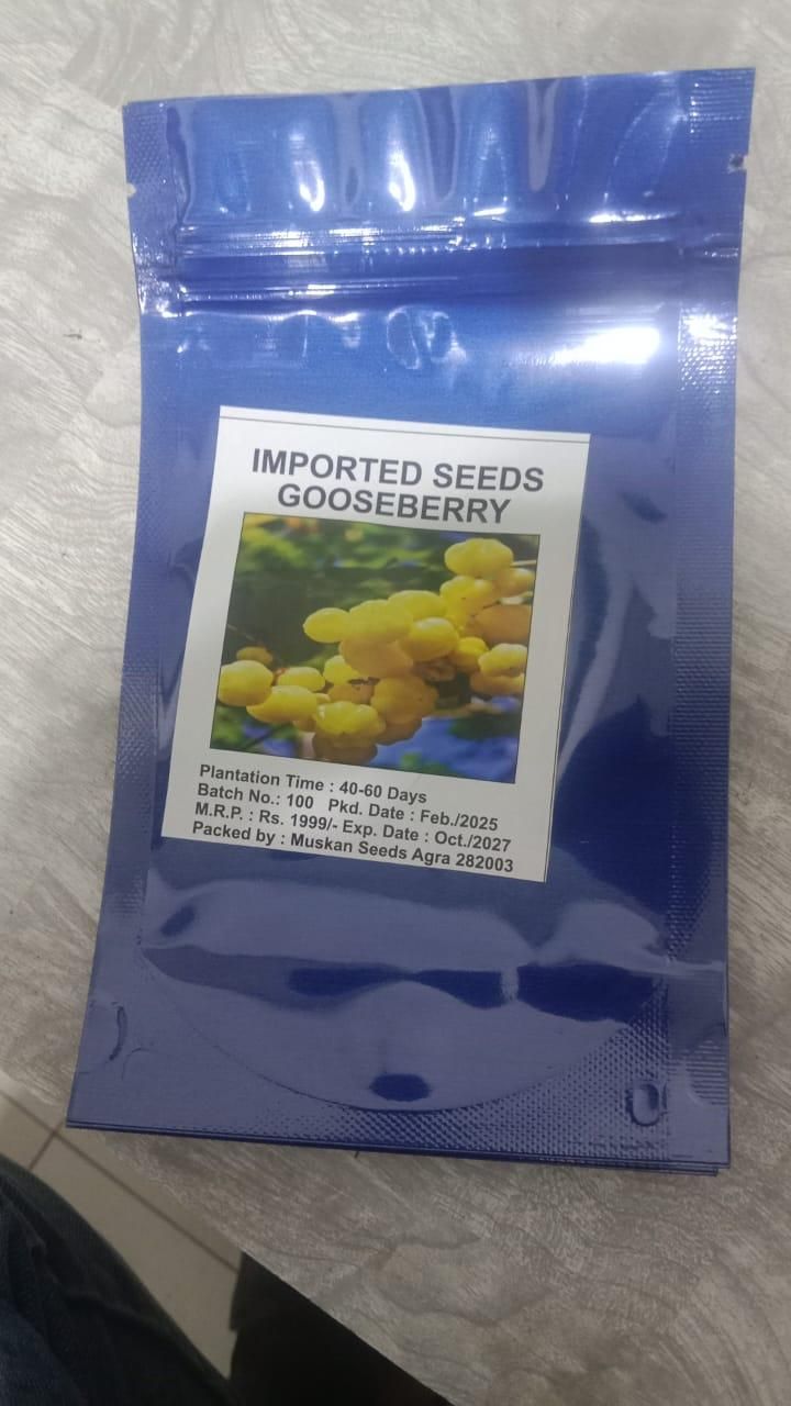 Imported Seeds Gooseberry are premium-quality seeds carefully selected from trusted international sources to ensure vigorous plant growth and high fruit production. These seeds are ideal for growers aiming to cultivate resilient gooseberry plants with excellent flavor and nutritional value. Their superior genetic traits support adaptability across diverse growing conditions, making them a reliable choice for both home gardeners and commercial cultivators seeking consistent, fruitful results.