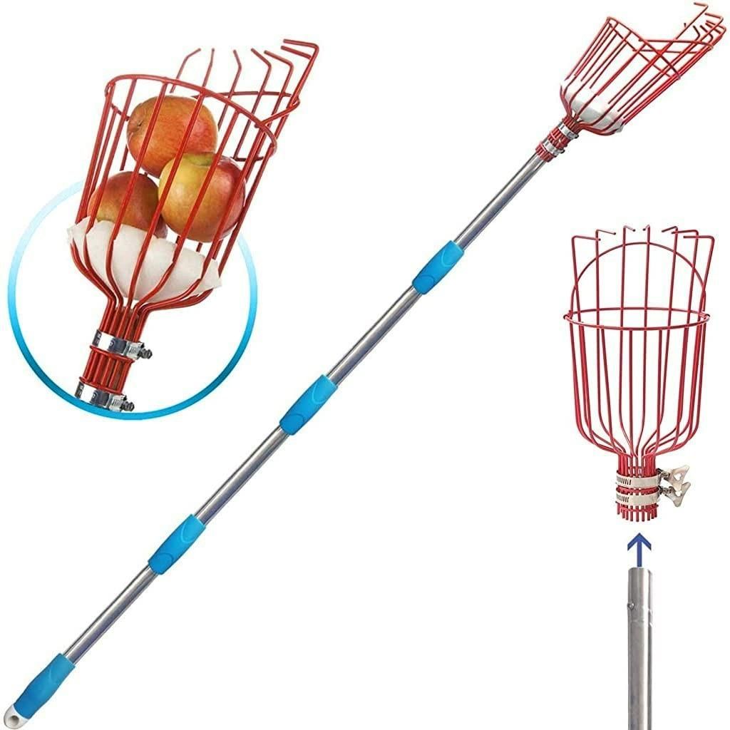 This professional-grade Fruit Picker with Basket features an extendable pole design that reaches high branches with minimal effort. The cushioned collection basket prevents bruising while harvesting delicate fruits, and its lightweight yet sturdy construction ensures season after season reliability. Engineered with a precise picking mechanism that cleanly separates fruit from stems, this tool maximizes yield while preserving tree health—an indispensable investment for serious gardeners and orchard managers.