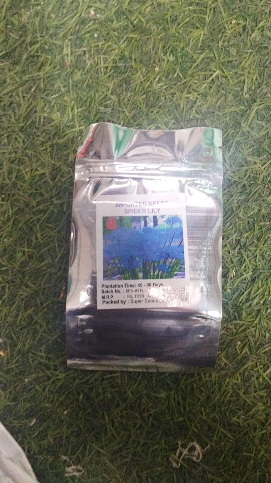 Lily Equinox Flower Bulbs Seeds are premium-quality bulbs designed for optimal growth and vibrant flowering. These bulbs produce elegant lilies with striking colors that enhance garden aesthetics. Suitable for planting in well-drained soil, they require minimal care while delivering consistent blooms during the growing season. Ideal for expert gardeners aiming to cultivate a refined and colorful floral display.