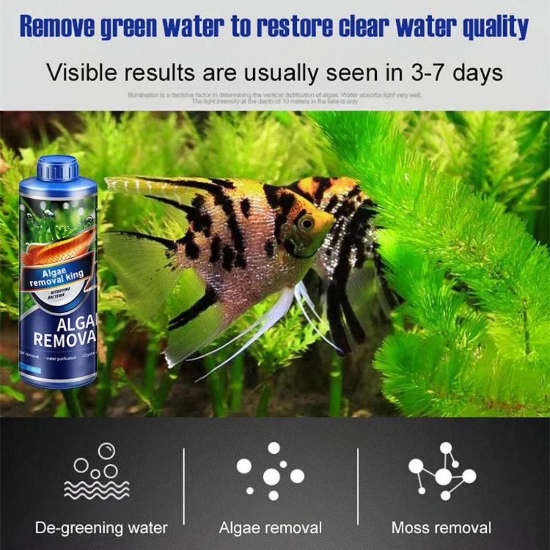 This Algae Remover Pack of 2 is designed to effectively eliminate green algae and moss from fish tanks and ponds. Its powerful algaecide formula helps maintain clear water, enhancing the aquatic environment for fish and plants. Suitable for both freshwater and ornamental ponds, it controls algae growth efficiently, promoting healthier water conditions and improved visibility. Ideal for aquarists seeking a reliable solution to keep their aquatic habitats clean and balanced.