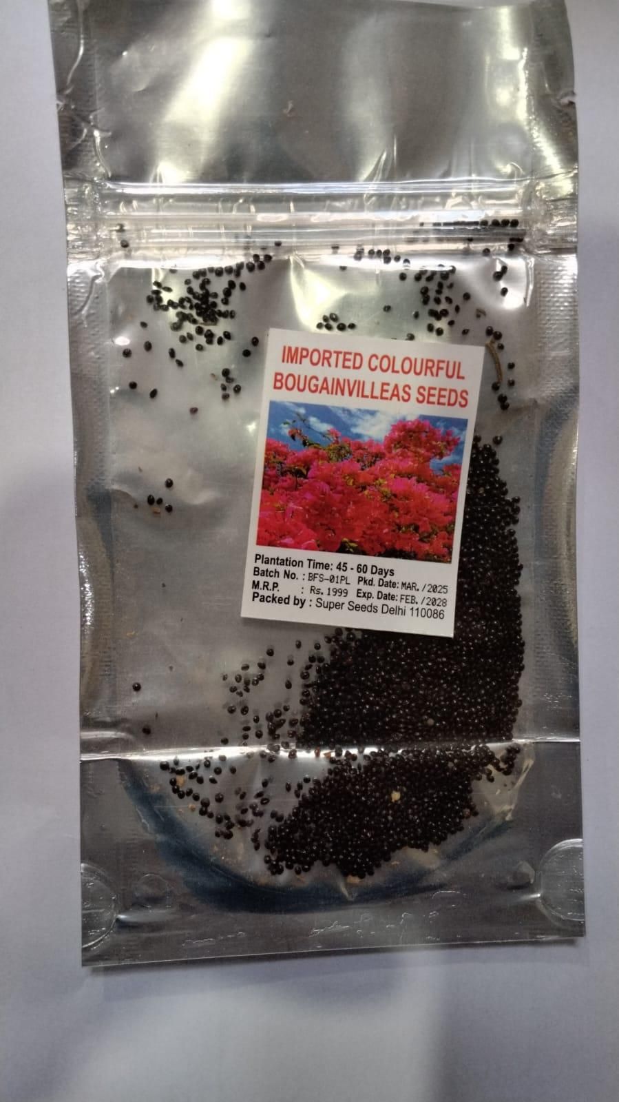 Grow a beautiful and vibrant garden with our Mix Colour Bougainvillea Flower Seeds. These seeds are specially selected to produce a variety of stunning hues and can be easily grown in your home garden. Create a picturesque landscape with these top-quality seeds.