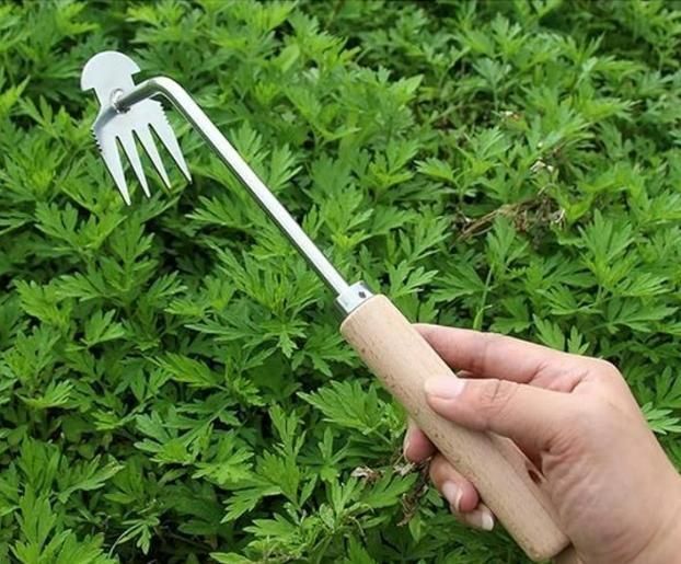 Our Puller Sharp Weeding Tools make garden maintenance a breeze. Featuring precision-crafted tips that target stubborn weeds at their source and comfortable non-slip handles that reduce hand fatigue. We're here to support your gardening journey with tools that make weed removal efficient and less strenuous, helping your garden thrive with minimal effort.