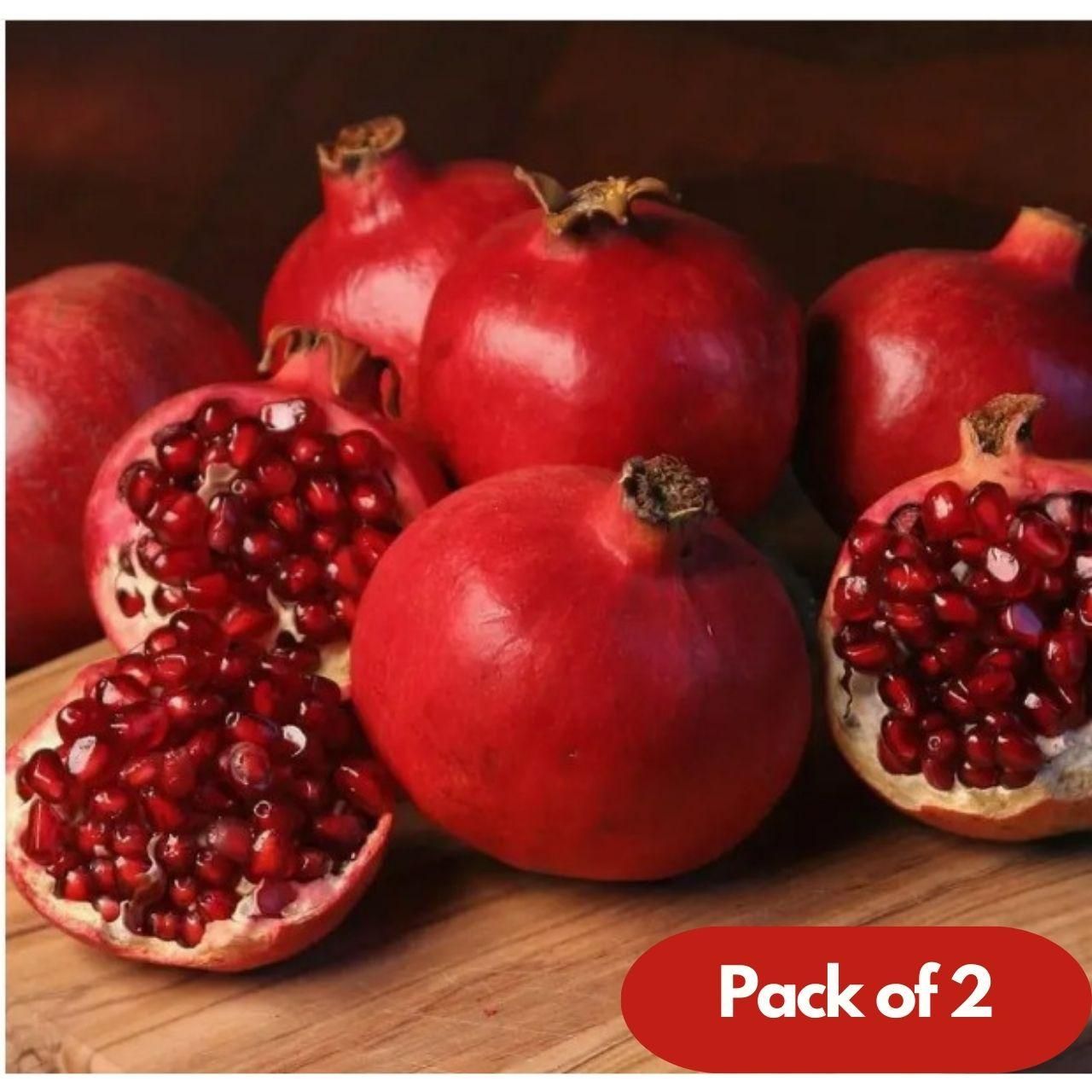 Start your gardening journey with our Pomegranate Seeds Pack of 2, carefully selected for successful plantation. Each pack contains viable seeds ready to grow into beautiful pomegranate plants with proper care. We've chosen the best varieties to help ensure your gardening success, and we're here to support you every step of the way as you nurture these seeds into thriving fruit-bearing plants.
