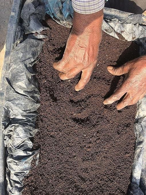 Premium organic vermicompost produced through controlled earthworm digestion processes, yielding a balanced soil amendment rich in humic acids and plant-available nutrients. This 500gm formulation contains essential macro and micronutrients in optimal ratios, enhancing soil microbial activity and improving cation exchange capacity. Supports sustainable agricultural practices while promoting robust root development and enhanced crop yields.