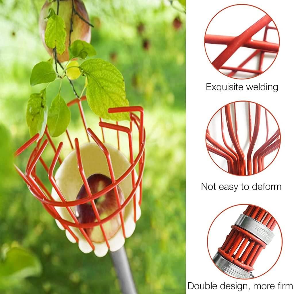 This professional-grade Fruit Picker with Basket features an extendable pole design that reaches high branches with minimal effort. The cushioned collection basket prevents bruising while harvesting delicate fruits, and its lightweight yet sturdy construction ensures season after season reliability. Engineered with a precise picking mechanism that cleanly separates fruit from stems, this tool maximizes yield while preserving tree health—an indispensable investment for serious gardeners and orchard managers.